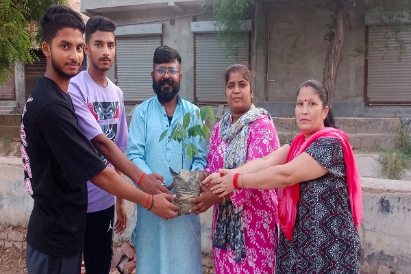 Tree Plantation